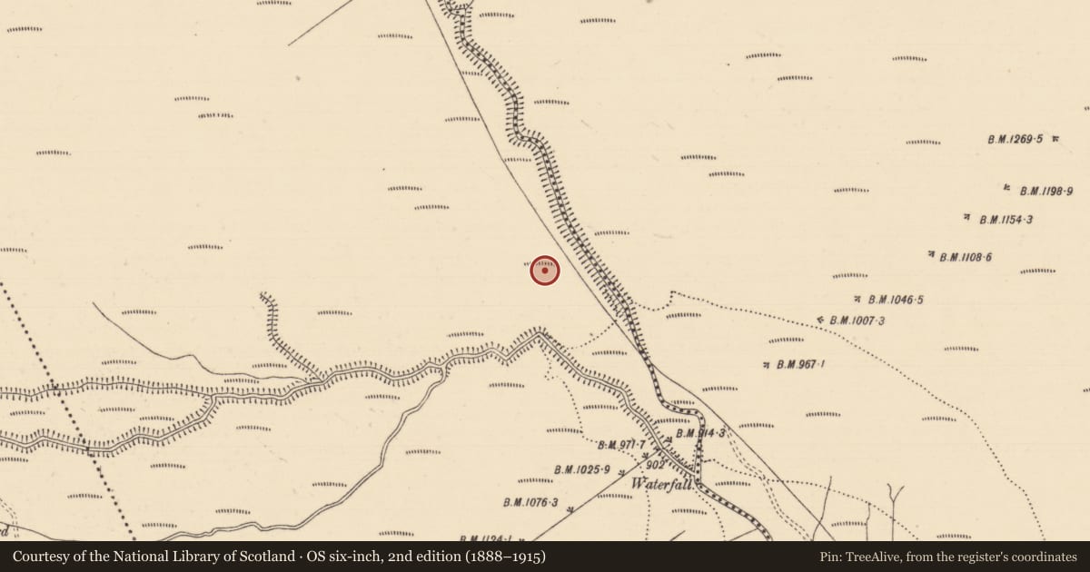 Ordnance Survey six-inch map, 2nd edition (1888–1915) covering the location of Standing stone, Boolakennedy (Shanrahan Par.), County Tipperary South, with a pin at the register's coordinates