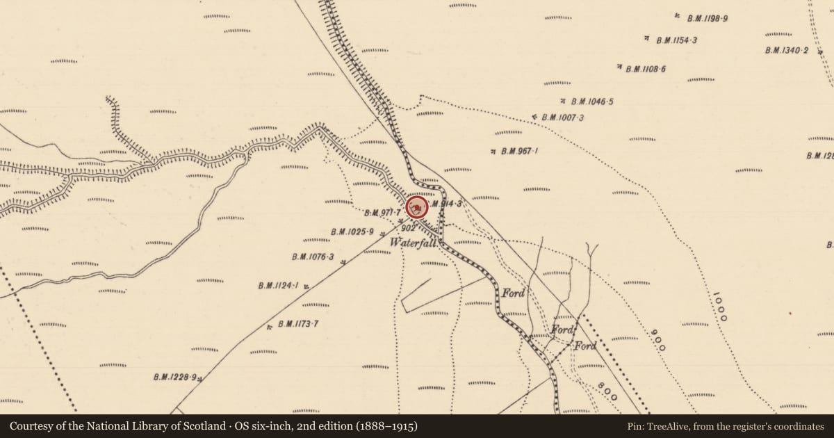Ordnance Survey six-inch map, 2nd edition (1888–1915) covering the location of Enclosure, Boolakennedy (Shanrahan Par.), County Tipperary South, with a pin at the register's coordinates