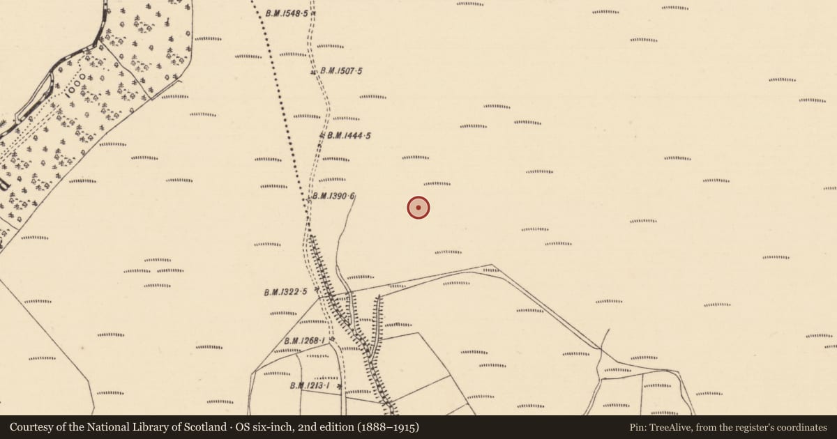 Ordnance Survey six-inch map, 2nd edition (1888–1915) covering the location of Hut site, Coolagarranroe, County Tipperary South, with a pin at the register's coordinates