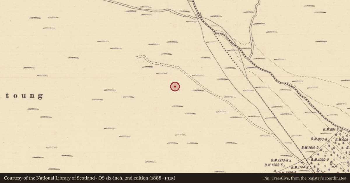 Ordnance Survey six-inch map, 2nd edition (1888–1915) covering the location of Hut site, Coolagarranroe, County Tipperary South, with a pin at the register's coordinates