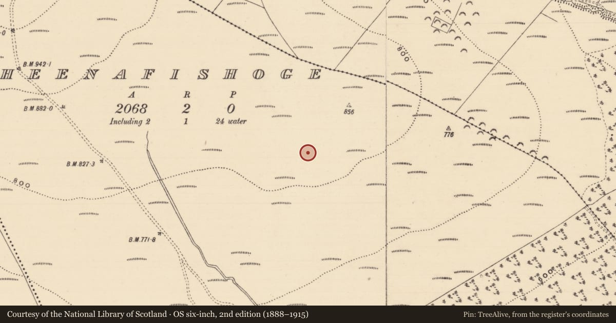 Ordnance Survey six-inch map, 2nd edition (1888–1915) covering the location of Hut site, Cloheenafishoge, County Tipperary South, with a pin at the register's coordinates