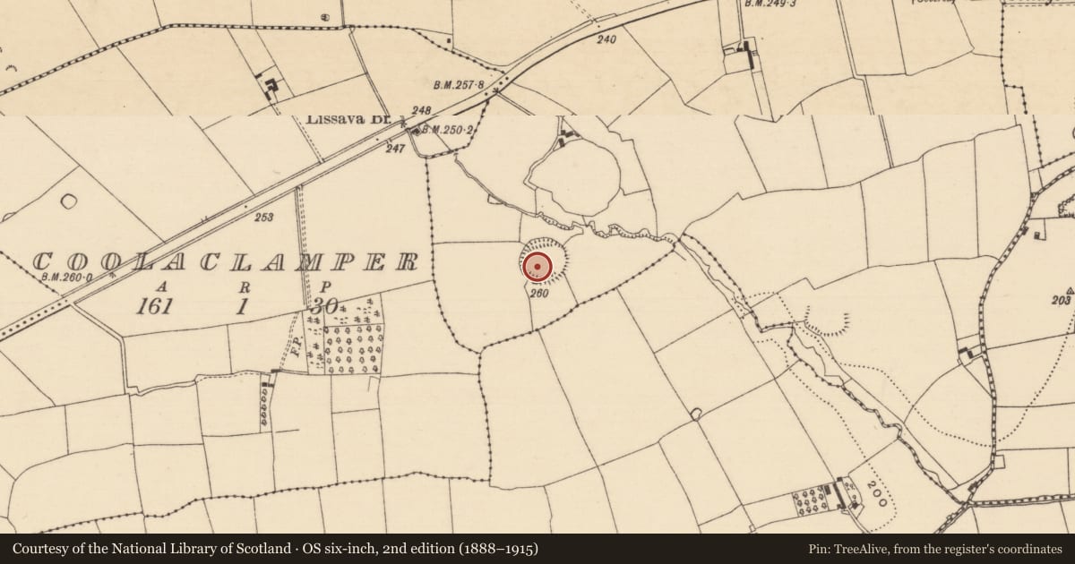 Ordnance Survey six-inch map, 2nd edition (1888–1915) covering the location of Ringfort - rath, Lissava, County Tipperary South, with a pin at the register's coordinates