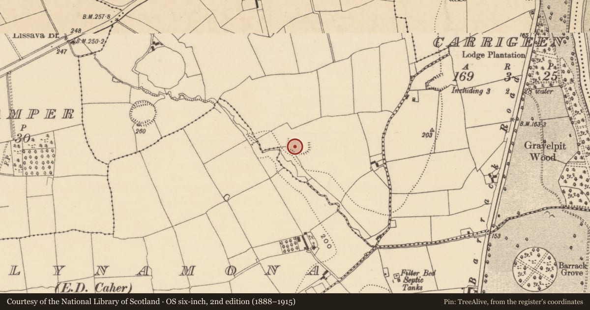 Ordnance Survey six-inch map, 2nd edition (1888–1915) covering the location of Enclosure, Lissava, County Tipperary South, with a pin at the register's coordinates
