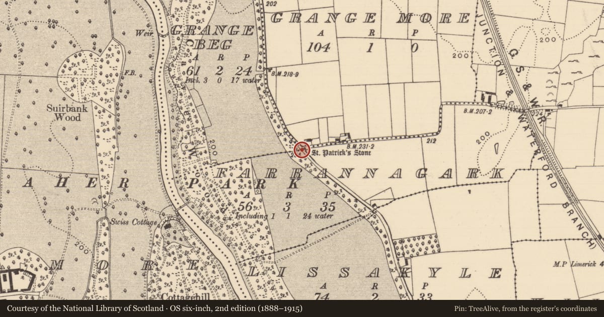 Ordnance Survey six-inch map, 2nd edition (1888–1915) covering the location of Bullaun stone, Grange More (Caher Par.), County Tipperary South, with a pin at the register's coordinates