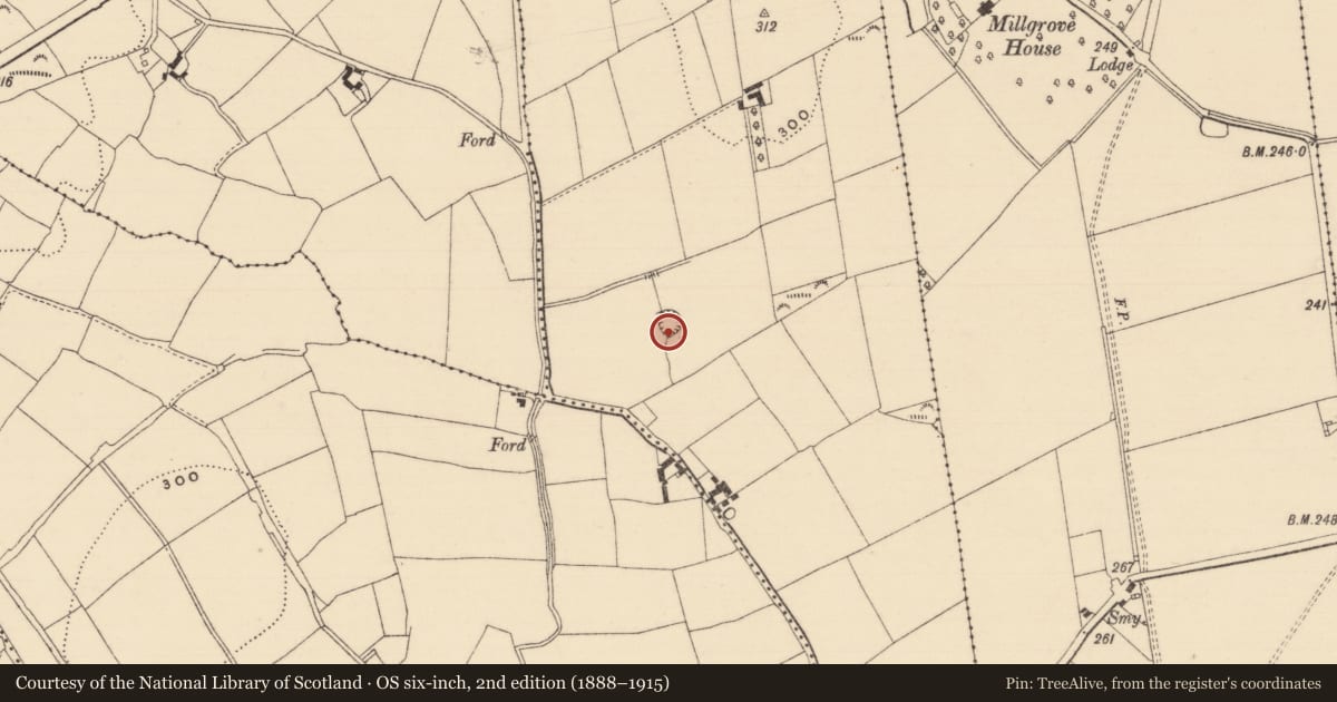 Ordnance Survey six-inch map, 2nd edition (1888–1915) covering the location of Ringfort - rath, Poulaculleare, County Tipperary South, with a pin at the register's coordinates