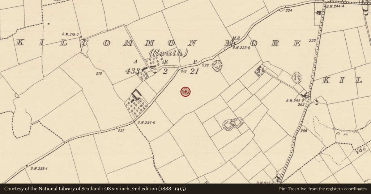 Ordnance Survey six-inch map, 2nd edition (1888–1915) covering the location of Enclosure, Kilcommon More (South), County Tipperary South, with a pin at the register's coordinates