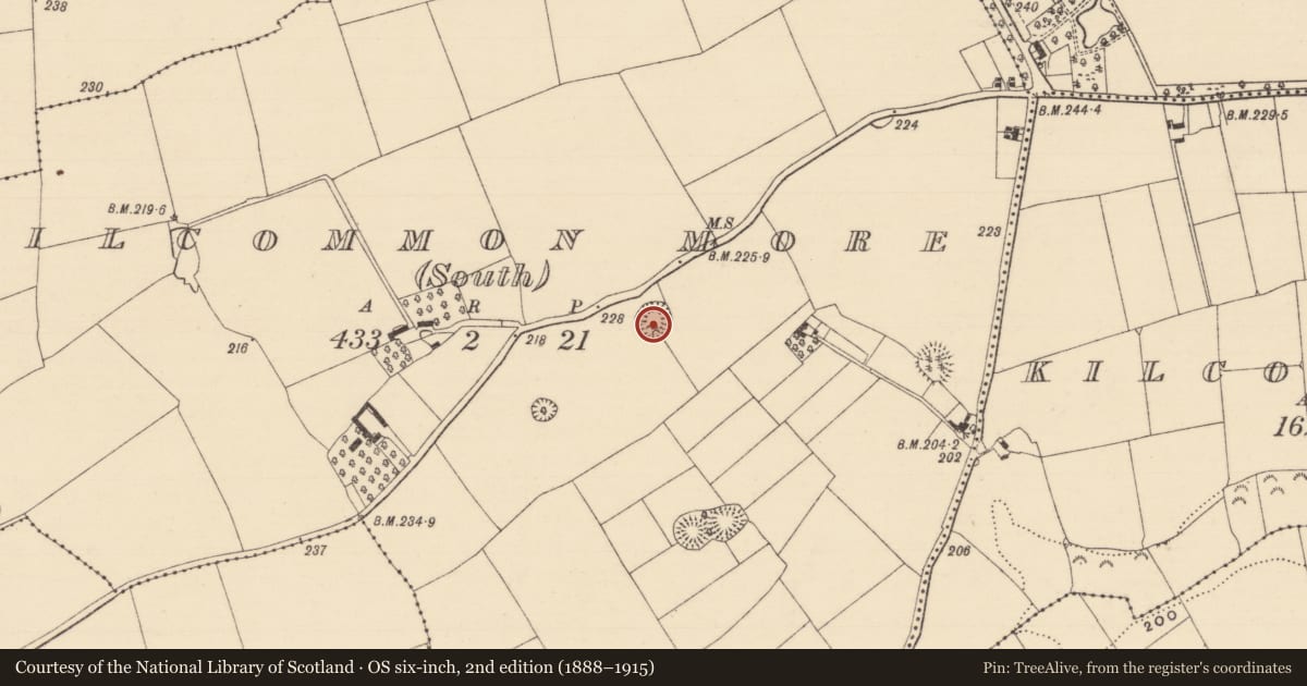 Ordnance Survey six-inch map, 2nd edition (1888–1915) covering the location of Ringfort - rath, Kilcommon More (South), County Tipperary South, with a pin at the register's coordinates