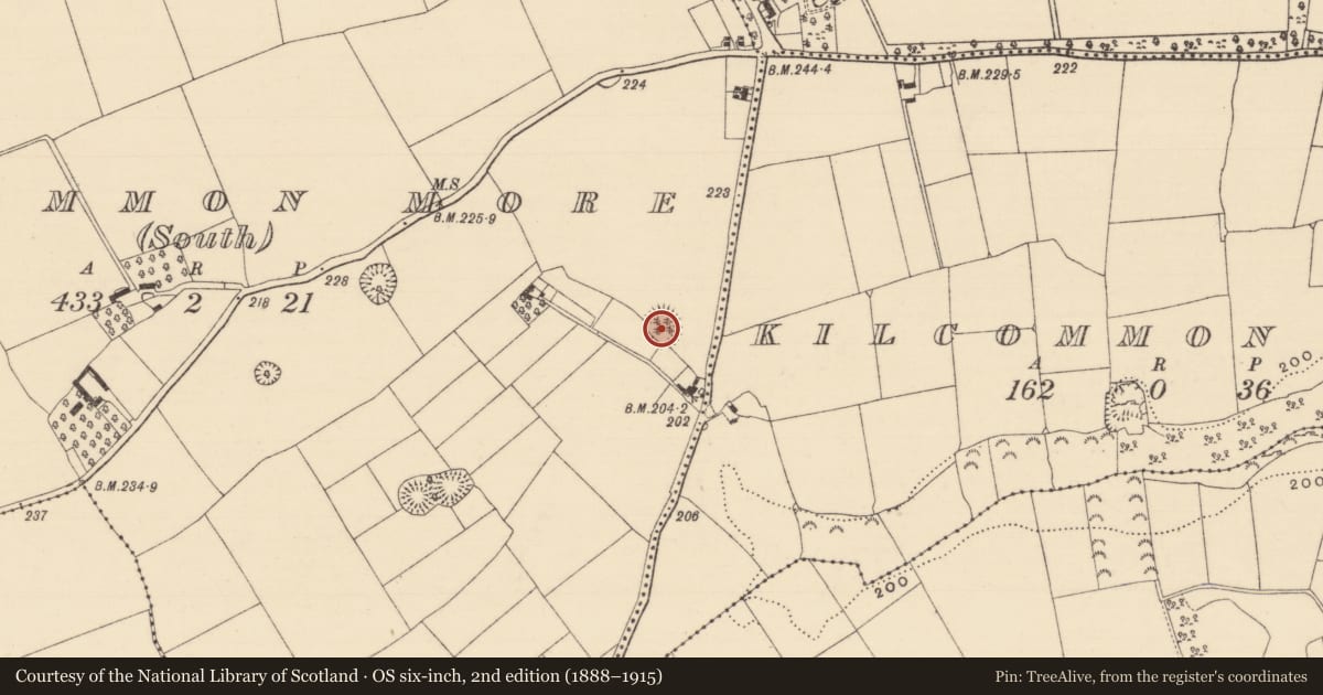 Ordnance Survey six-inch map, 2nd edition (1888–1915) covering the location of Ringfort - rath, Kilcommon More (South), County Tipperary South, with a pin at the register's coordinates