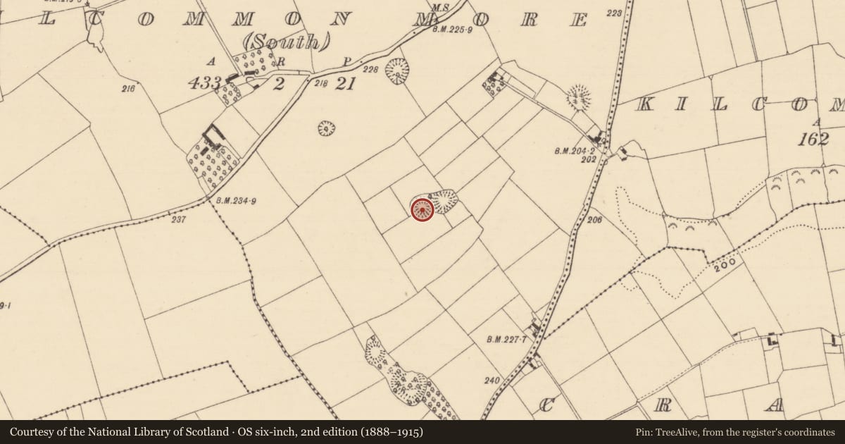 Ordnance Survey six-inch map, 2nd edition (1888–1915) covering the location of Ringfort - rath, Kilcommon More (South), County Tipperary South, with a pin at the register's coordinates