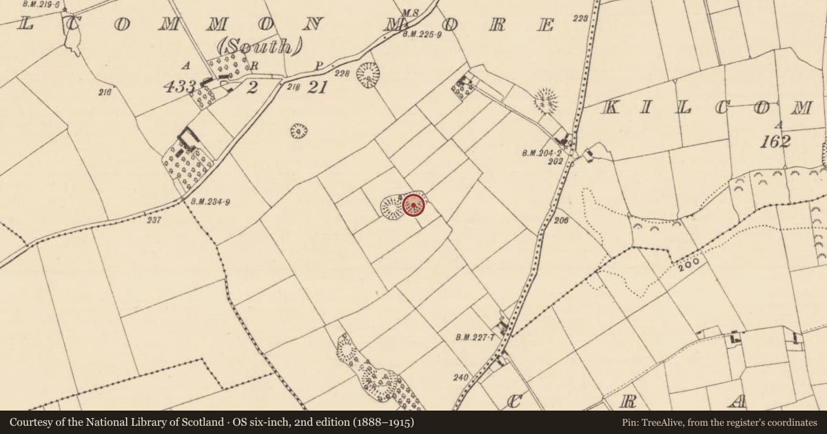 Ordnance Survey six-inch map, 2nd edition (1888–1915) covering the location of Ringfort - rath, Kilcommon More (South), County Tipperary South, with a pin at the register's coordinates