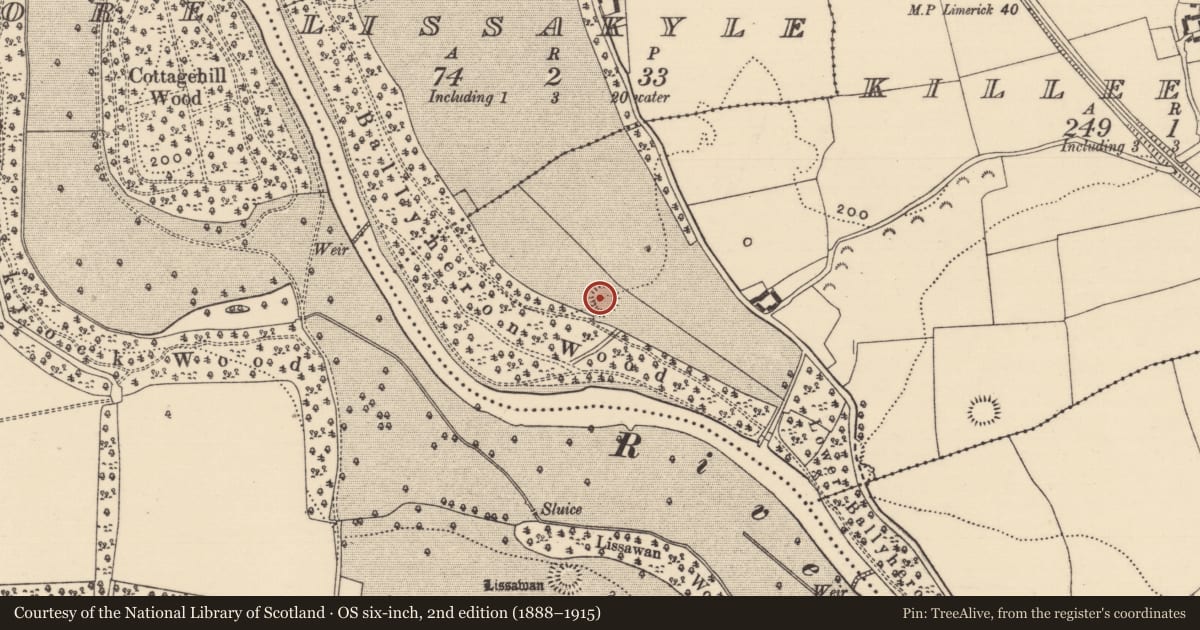 Ordnance Survey six-inch map, 2nd edition (1888–1915) covering the location of Enclosure, Killeenbutler, County Tipperary South, with a pin at the register's coordinates