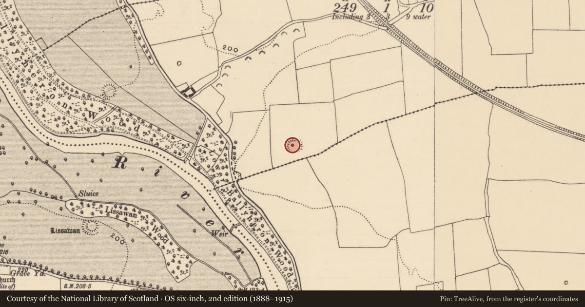 Ordnance Survey six-inch map, 2nd edition (1888–1915) covering the location of Enclosure, Killeenbutler, County Tipperary South, with a pin at the register's coordinates