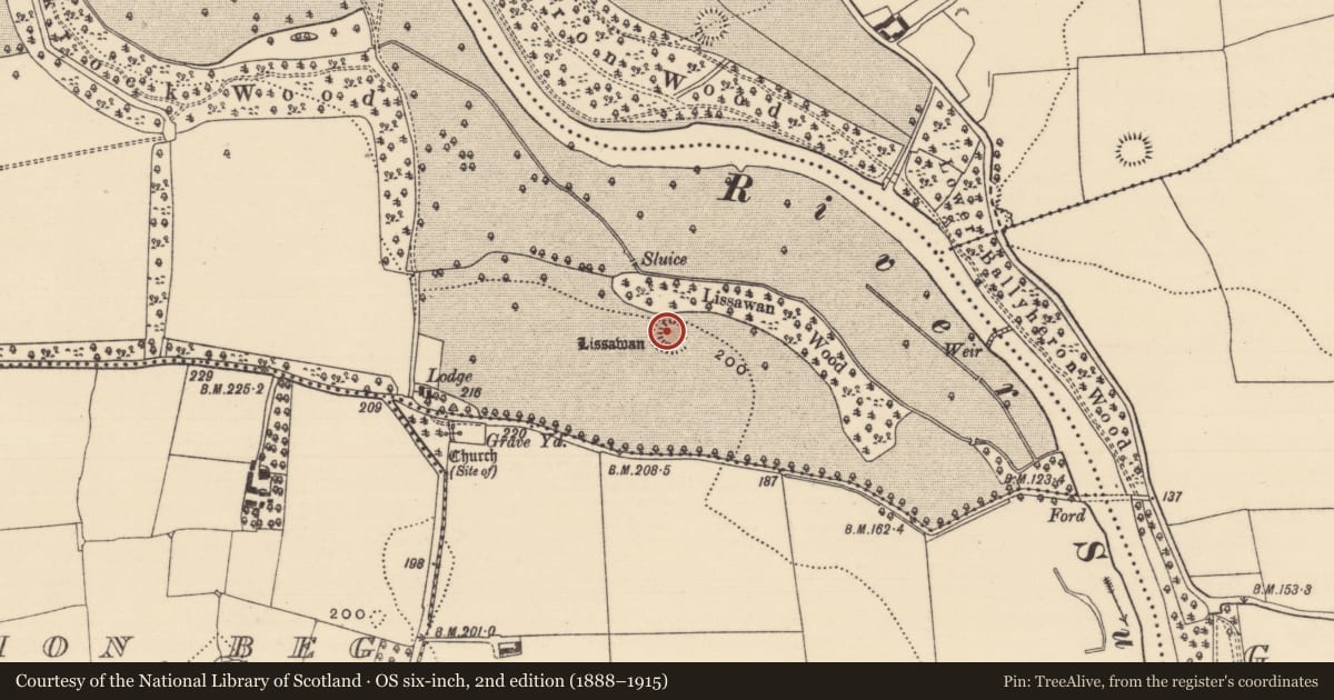Ordnance Survey six-inch map, 2nd edition (1888–1915) covering the location of Ringfort - rath, Kilcommon More (South), County Tipperary South, with a pin at the register's coordinates