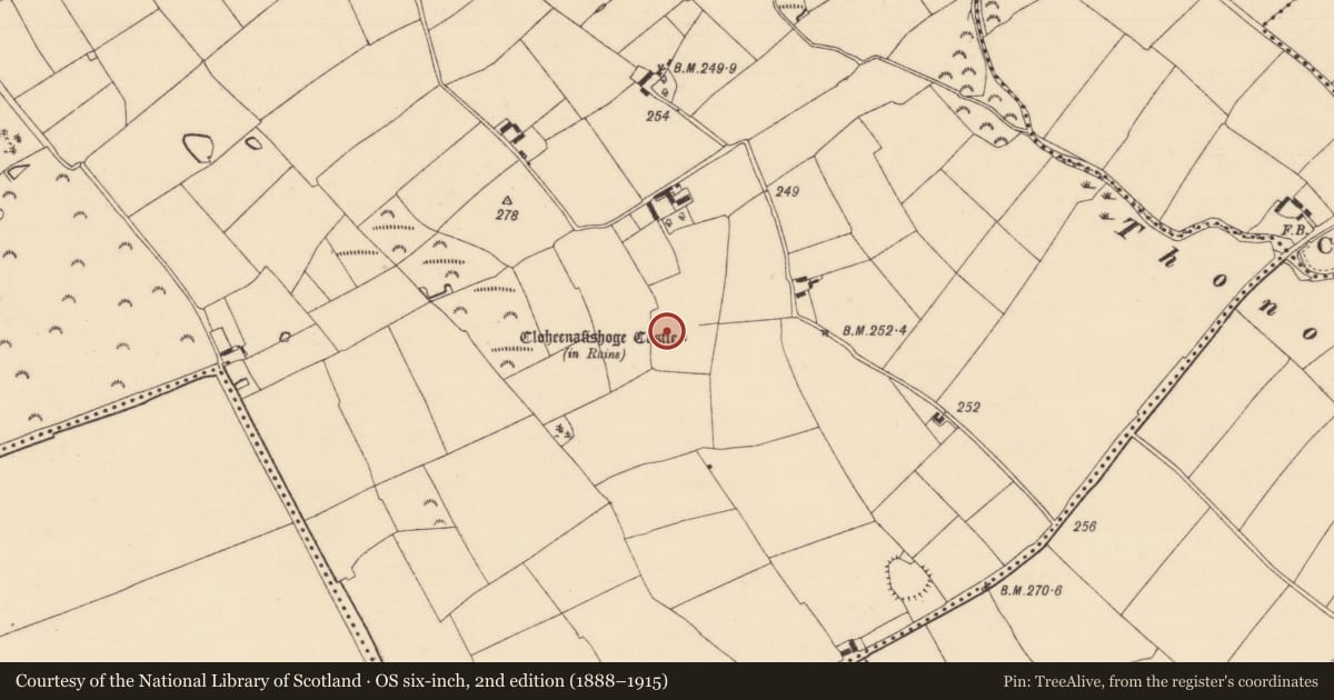 Ordnance Survey six-inch map, 2nd edition (1888–1915) covering the location of Bawn, Cloheenafishoge, County Tipperary South, with a pin at the register's coordinates