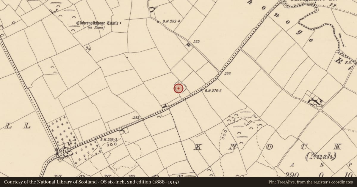 Ordnance Survey six-inch map, 2nd edition (1888–1915) covering the location of Enclosure, Cloheenafishoge, County Tipperary South, with a pin at the register's coordinates