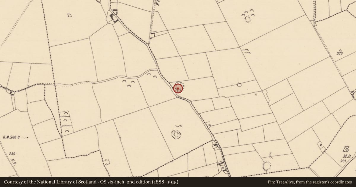 Ordnance Survey six-inch map, 2nd edition (1888–1915) covering the location of Ringfort - rath, Garryroan, County Tipperary South, with a pin at the register's coordinates