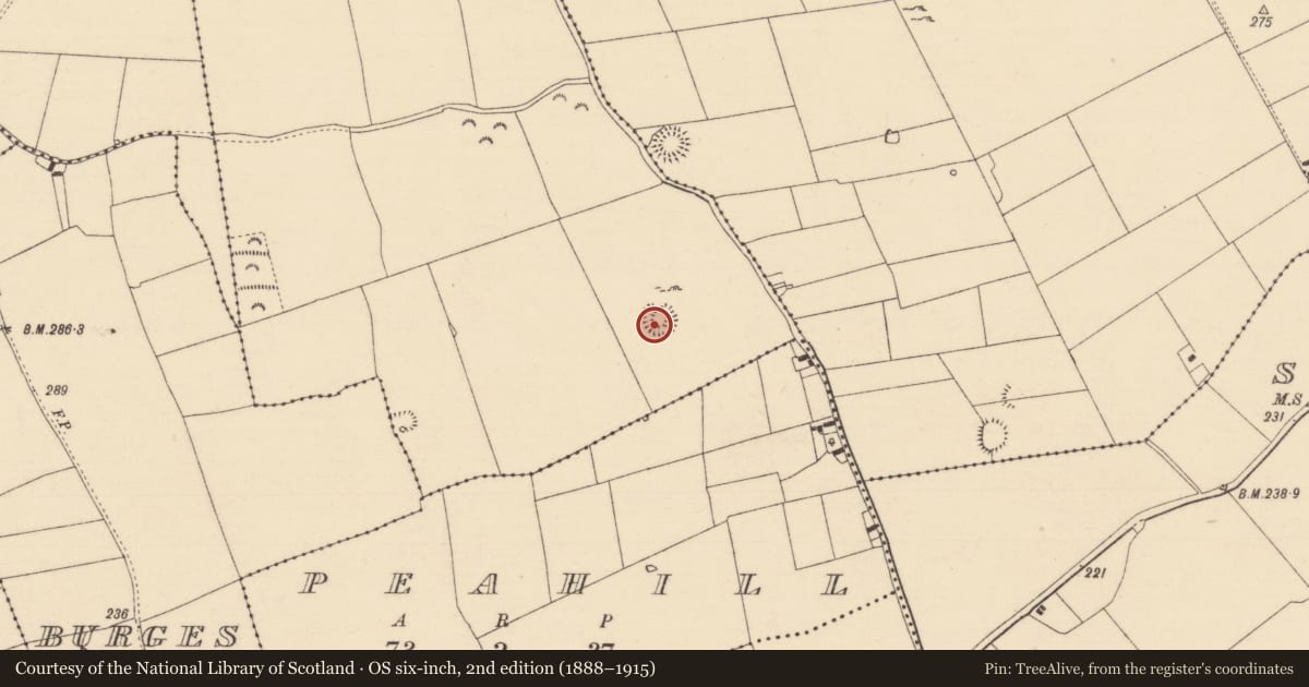 Ordnance Survey six-inch map, 2nd edition (1888–1915) covering the location of Ringfort - rath, Whitechurch, County Tipperary South, with a pin at the register's coordinates