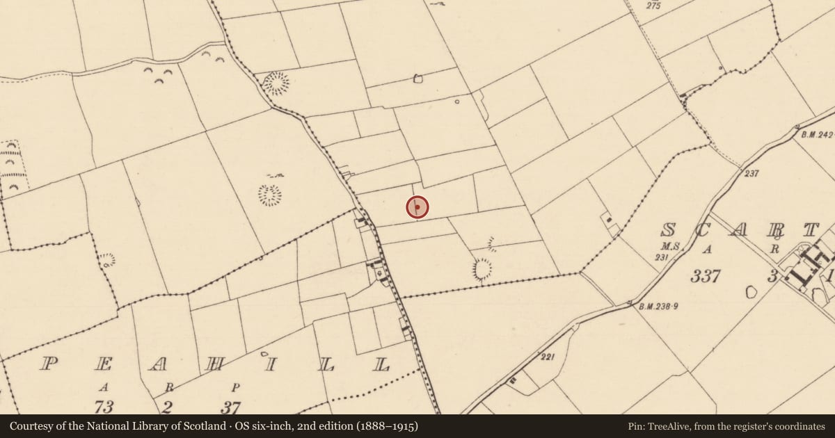 Ordnance Survey six-inch map, 2nd edition (1888–1915) covering the location of Enclosure, Garryroan, County Tipperary South, with a pin at the register's coordinates
