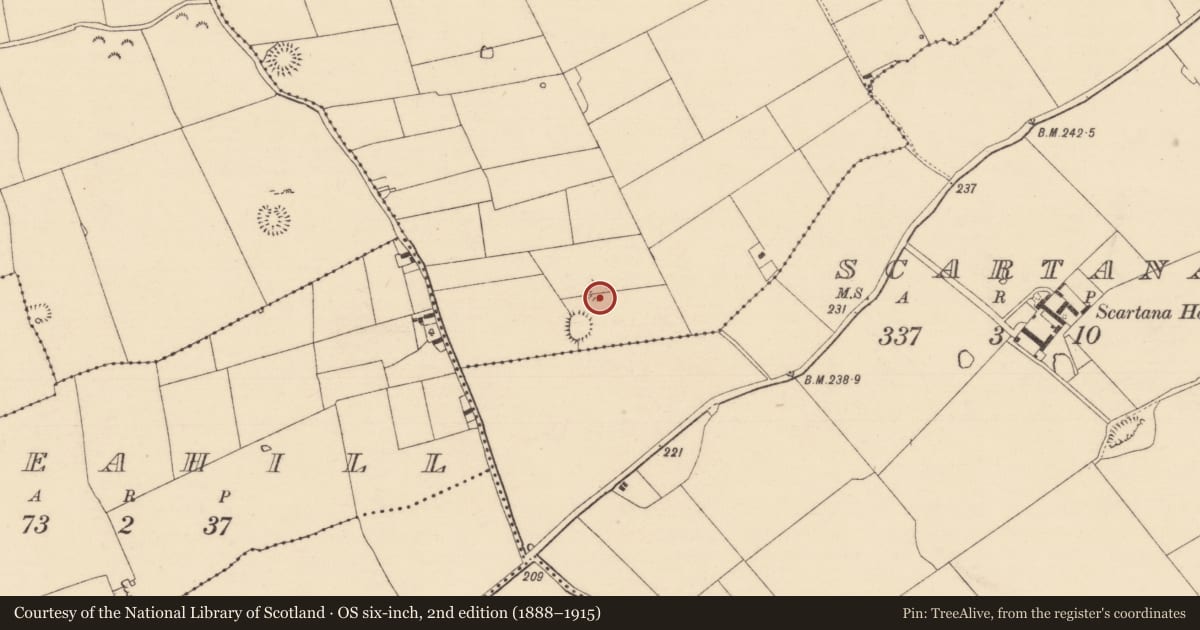 Ordnance Survey six-inch map, 2nd edition (1888–1915) covering the location of Enclosure, Garryroan, County Tipperary South, with a pin at the register's coordinates