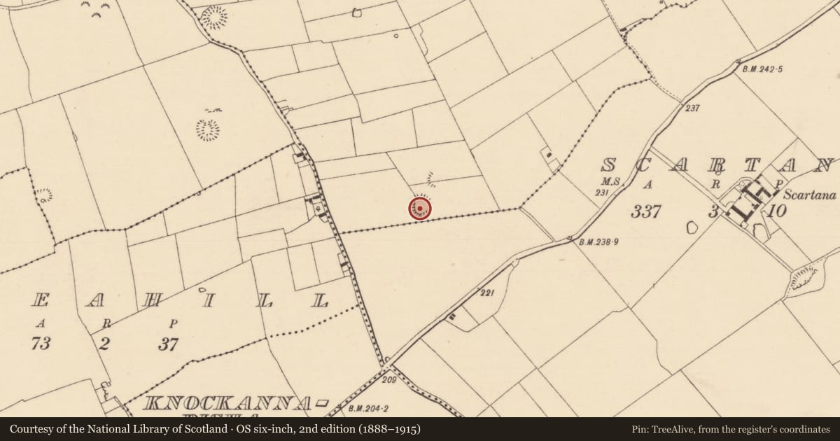 Ordnance Survey six-inch map, 2nd edition (1888–1915) covering the location of Enclosure, Garryroan, County Tipperary South, with a pin at the register's coordinates