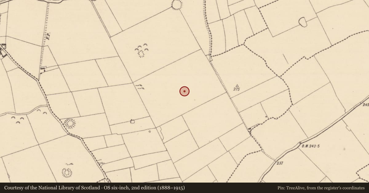 Ordnance Survey six-inch map, 2nd edition (1888–1915) covering the location of Cairn - unclassified, Garryroan, County Tipperary South, with a pin at the register's coordinates