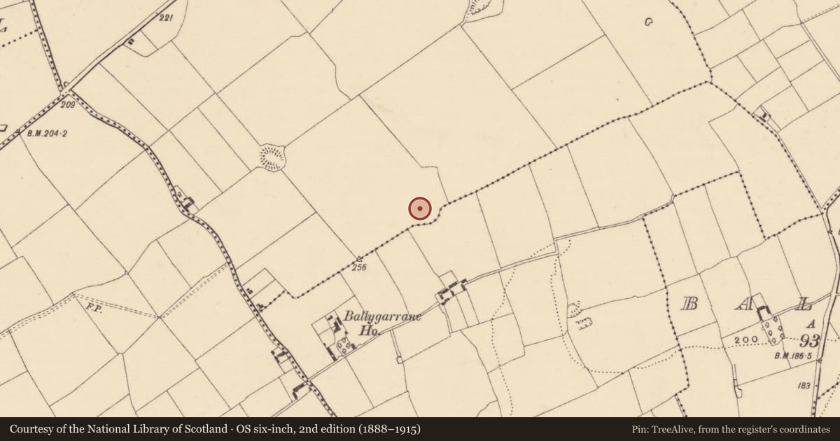 Ordnance Survey six-inch map, 2nd edition (1888–1915) covering the location of Enclosure, Ballygarrane (Tubbrid Par.), Scartana, County Tipperary South, with a pin at the register's coordinates