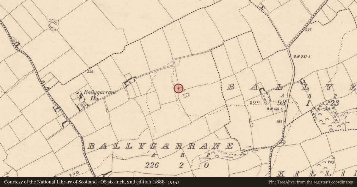 Ordnance Survey six-inch map, 2nd edition (1888–1915) covering the location of Ringfort - rath, Ballygarrane (Tubbrid Par.), County Tipperary South, with a pin at the register's coordinates