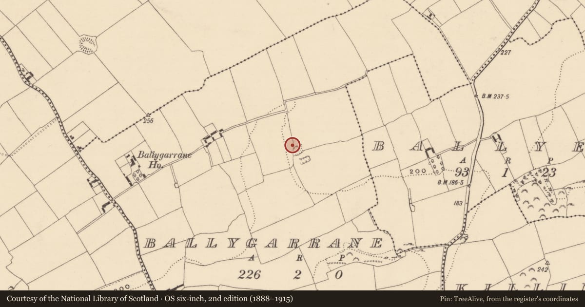 Ordnance Survey six-inch map, 2nd edition (1888–1915) covering the location of Souterrain, Ballygarrane (Tubbrid Par.), County Tipperary South, with a pin at the register's coordinates