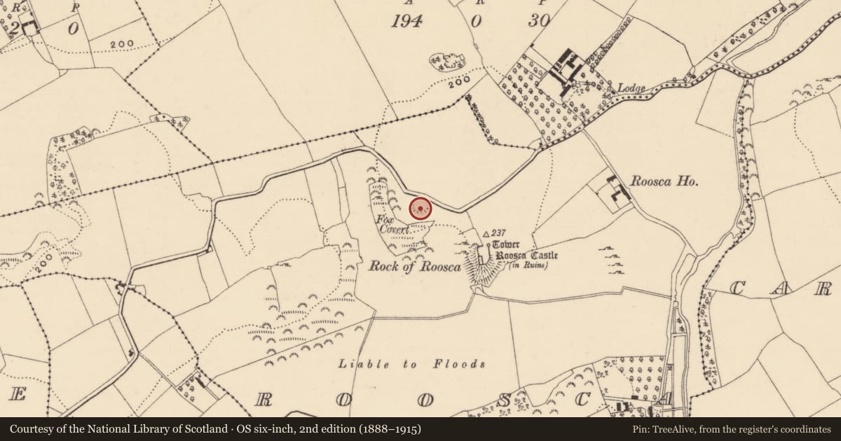 Ordnance Survey six-inch map, 2nd edition (1888–1915) covering the location of Enclosure, Roosca (Burke), County Tipperary South, with a pin at the register's coordinates