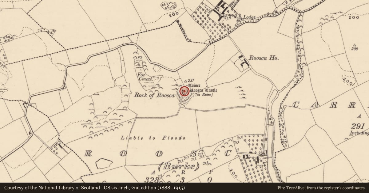 Ordnance Survey six-inch map, 2nd edition (1888–1915) covering the location of Bawn, Roosca (Burke), County Tipperary South, with a pin at the register's coordinates