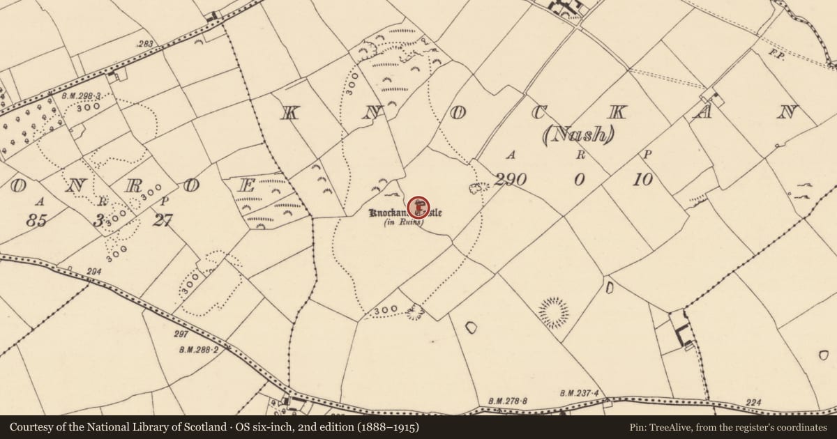 Ordnance Survey six-inch map, 2nd edition (1888–1915) covering the location of House - 17th century, Knockane (Nash), County Tipperary South, with a pin at the register's coordinates