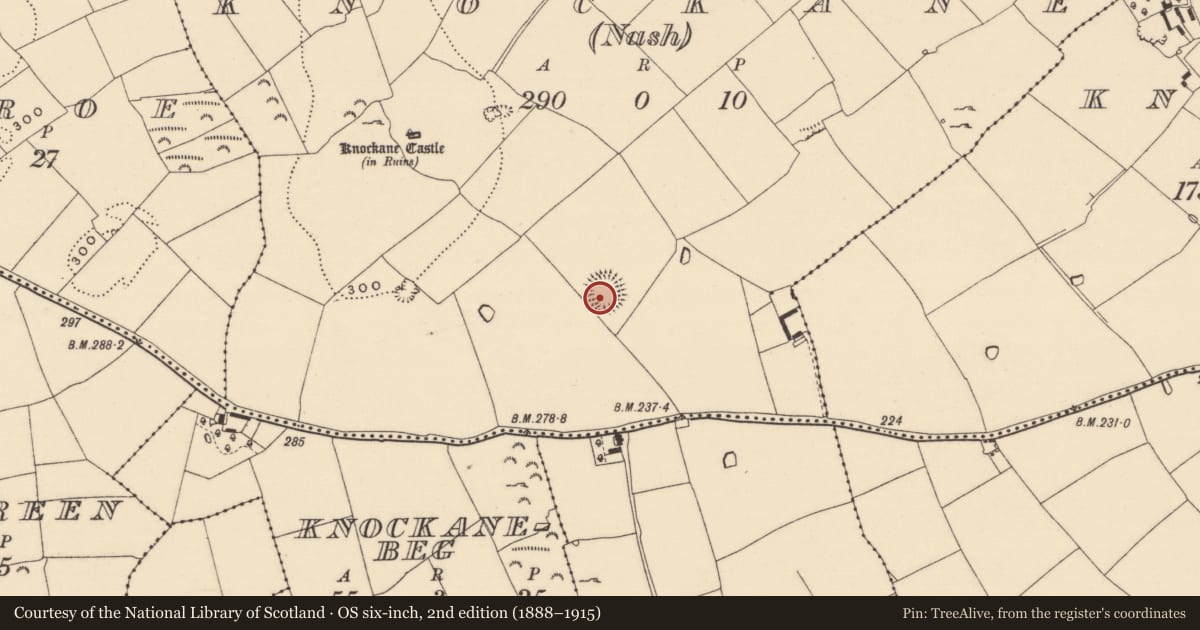 Ordnance Survey six-inch map, 2nd edition (1888–1915) covering the location of Ringfort - rath, Knockane (Nash), County Tipperary South, with a pin at the register's coordinates