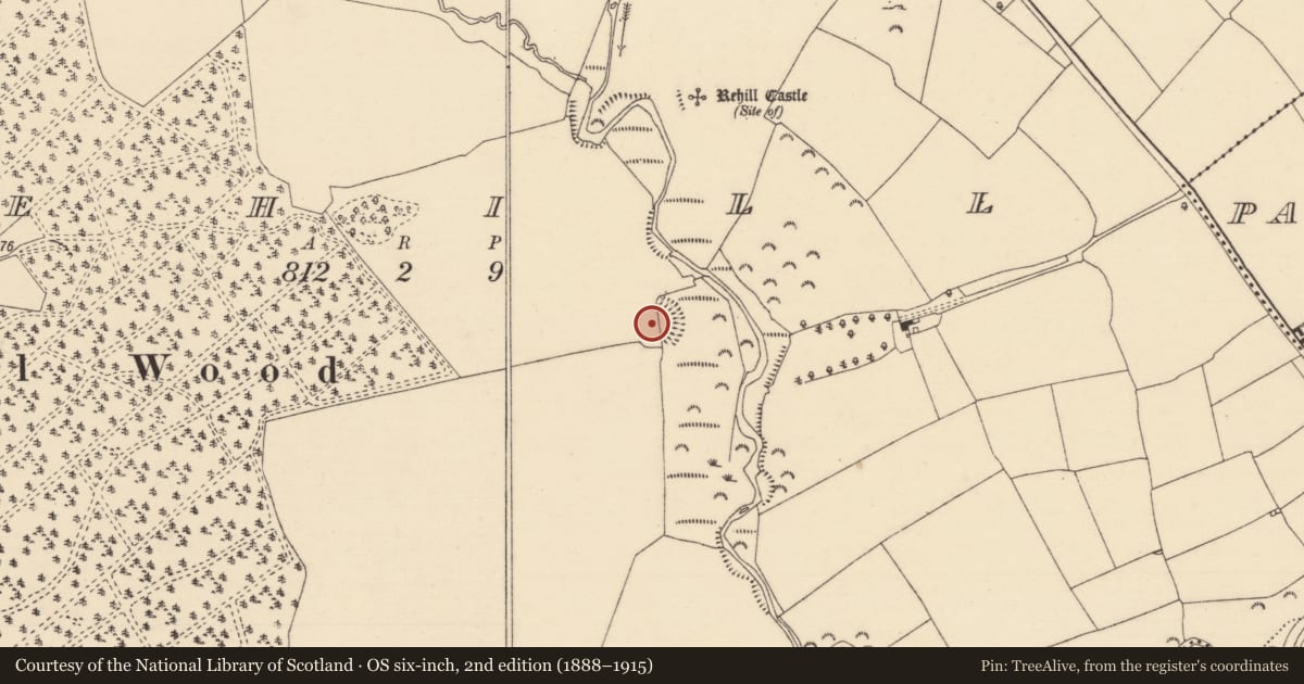 Ordnance Survey six-inch map, 2nd edition (1888–1915) covering the location of Ringfort - rath, Rehill (Shanrahan Par.), County Tipperary South, with a pin at the register's coordinates
