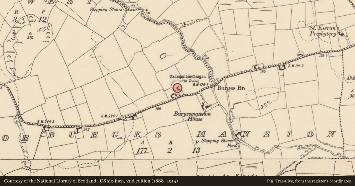 Ordnance Survey six-inch map, 2nd edition (1888–1915) covering the location of Church, Burges West, County Tipperary South, with a pin at the register's coordinates