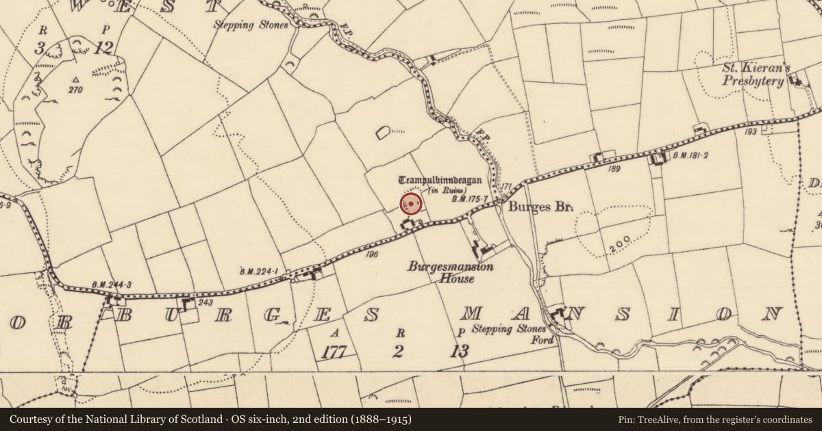 Ordnance Survey six-inch map, 2nd edition (1888–1915) covering the location of Graveyard, Burges West, County Tipperary South, with a pin at the register's coordinates