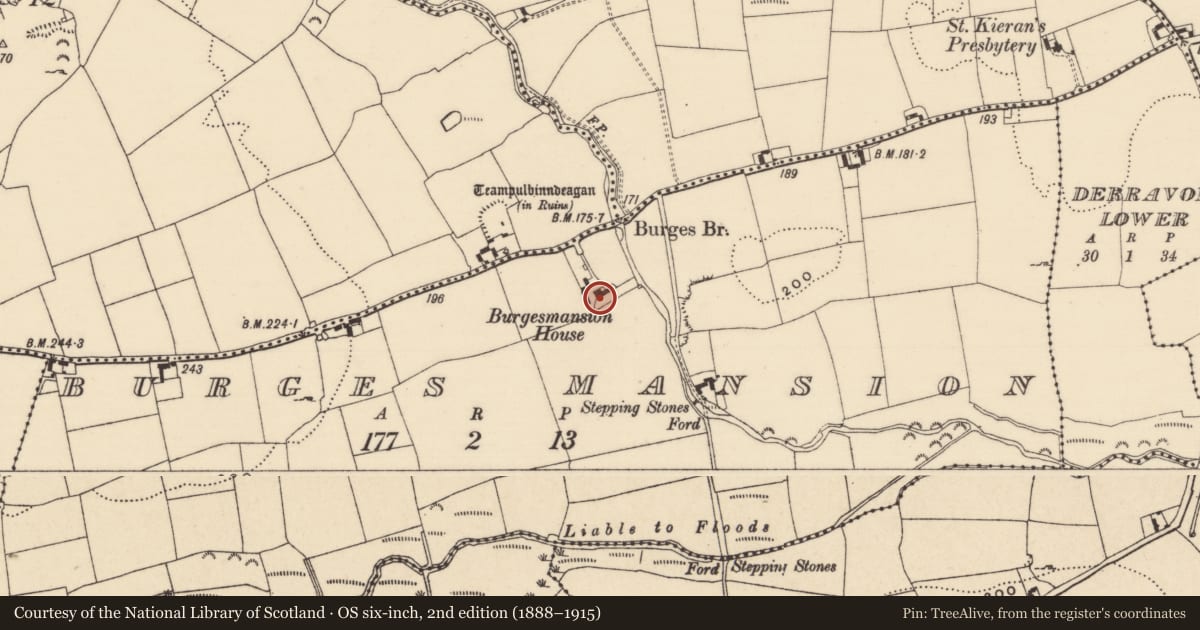Ordnance Survey six-inch map, 2nd edition (1888–1915) covering the location of House - 17th century, Burges Mansion, County Tipperary South, with a pin at the register's coordinates