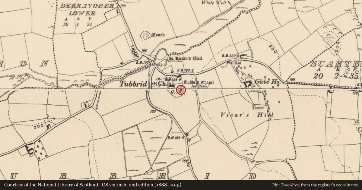 Ordnance Survey six-inch map, 2nd edition (1888–1915) covering the location of Graveslab, Tubbrid, County Tipperary South, with a pin at the register's coordinates