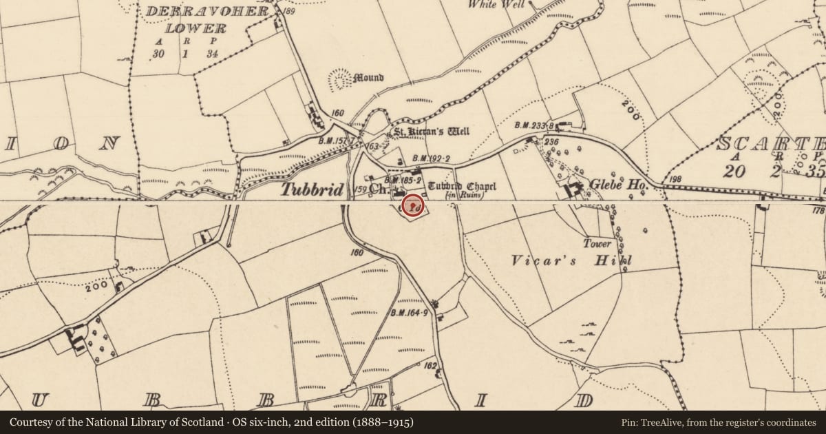 Ordnance Survey six-inch map, 2nd edition (1888–1915) covering the location of Graveslab, Tubbrid, County Tipperary South, with a pin at the register's coordinates