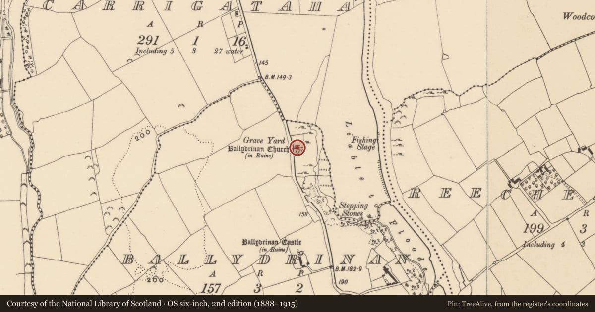 Ordnance Survey six-inch map, 2nd edition (1888–1915) covering the location of Church, Ballydrinan (Tubbrid Par.), County Tipperary South, with a pin at the register's coordinates