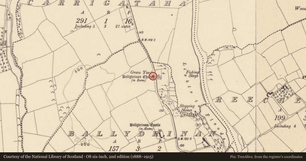 Ordnance Survey six-inch map, 2nd edition (1888–1915) covering the location of Ecclesiastical enclosure, Ballydrinan (Tubbrid Par.), County Tipperary South, with a pin at the register's coordinates