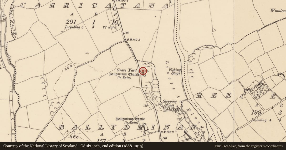 Ordnance Survey six-inch map, 2nd edition (1888–1915) covering the location of Graveyard, Ballydrinan (Tubbrid Par.), County Tipperary South, with a pin at the register's coordinates