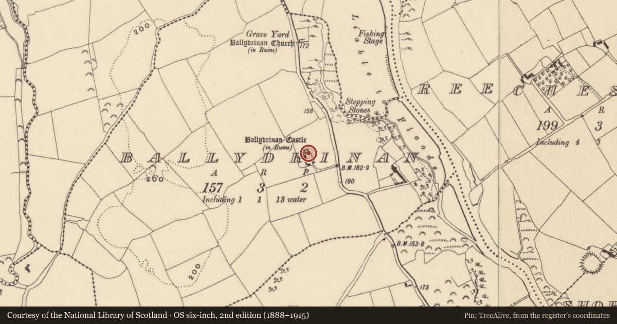Ordnance Survey six-inch map, 2nd edition (1888–1915) covering the location of Castle - tower house, Ballydrinan (Tubbrid Par.), County Tipperary South, with a pin at the register's coordinates