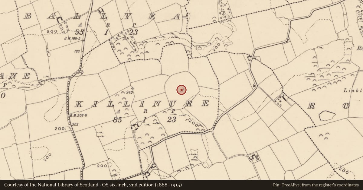 Ordnance Survey six-inch map, 2nd edition (1888–1915) covering the location of Ecclesiastical enclosure, Killinure, County Tipperary South, with a pin at the register's coordinates