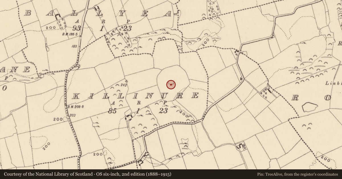 Ordnance Survey six-inch map, 2nd edition (1888–1915) covering the location of Church, Killinure, County Tipperary South, with a pin at the register's coordinates
