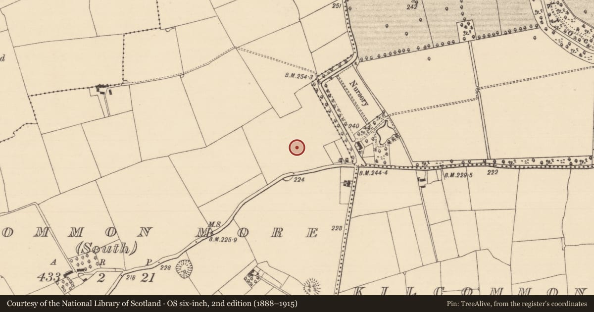 Ordnance Survey six-inch map, 2nd edition (1888–1915) covering the location of Enclosure, Kilcommon More (South), County Tipperary South, with a pin at the register's coordinates
