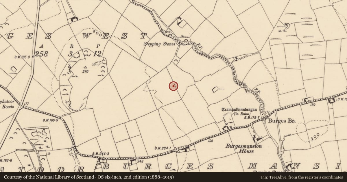 Ordnance Survey six-inch map, 2nd edition (1888–1915) covering the location of Enclosure, Burges West, County Tipperary South, with a pin at the register's coordinates