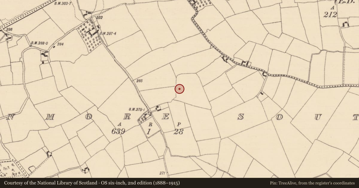 Ordnance Survey six-inch map, 2nd edition (1888–1915) covering the location of Ring-ditch, Clonmore South (Caher Par.), County Tipperary South, with a pin at the register's coordinates