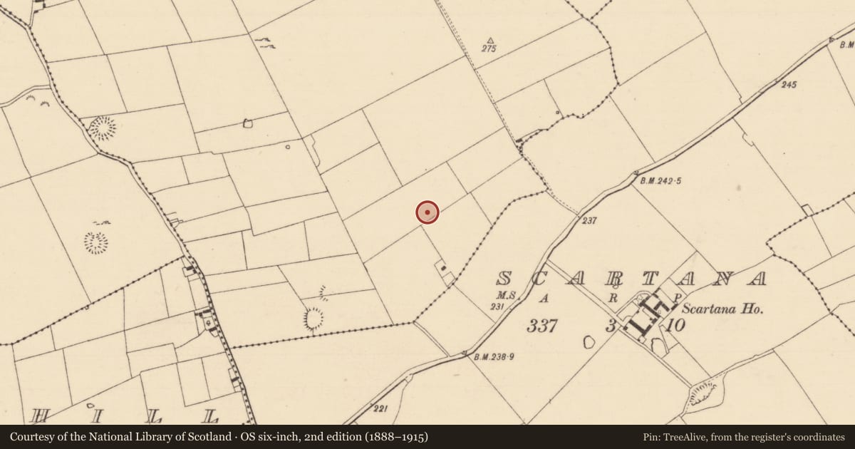 Ordnance Survey six-inch map, 2nd edition (1888–1915) covering the location of Cairn - unclassified, Garryroan, County Tipperary South, with a pin at the register's coordinates