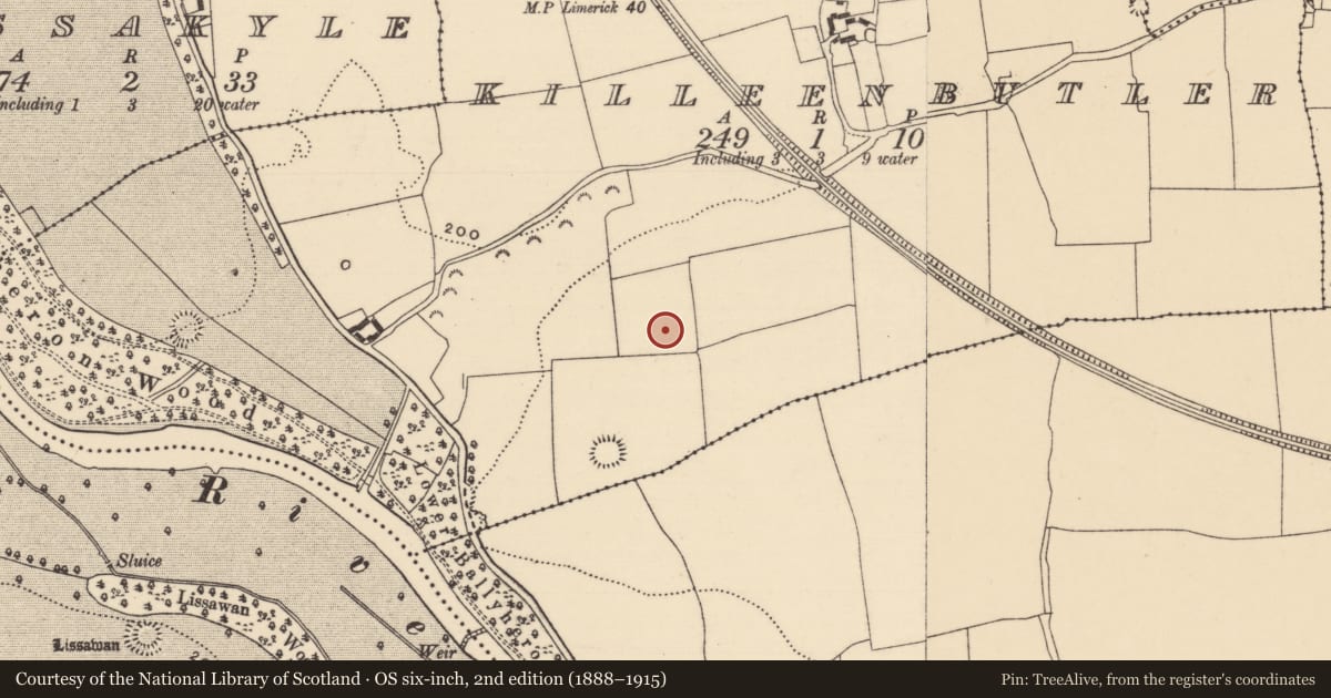 Ordnance Survey six-inch map, 2nd edition (1888–1915) covering the location of Enclosure, Killeenbutler, County Tipperary South, with a pin at the register's coordinates