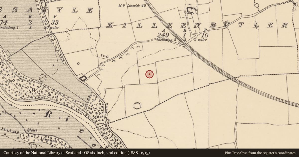 Ordnance Survey six-inch map, 2nd edition (1888–1915) covering the location of Enclosure, Killeenbutler, County Tipperary South, with a pin at the register's coordinates